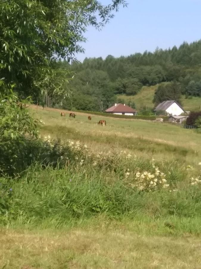 Altana Caloroczna Vira Numer 7 Herbergerowka Agroturystyka Na Wsi Duszniki Zdrój Exteriör bild