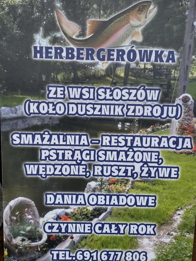 Altana Caloroczna Vira Numer 7 Herbergerowka Agroturystyka Na Wsi Duszniki Zdrój Exteriör bild